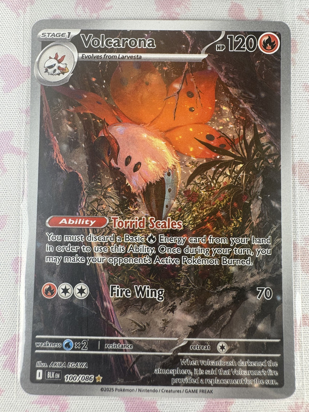 Volcarona - Pokemon 100/086 N39.7M