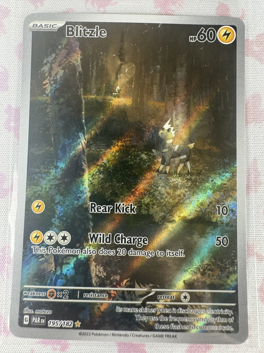 Blitzle - Pokemon 195/182 NM